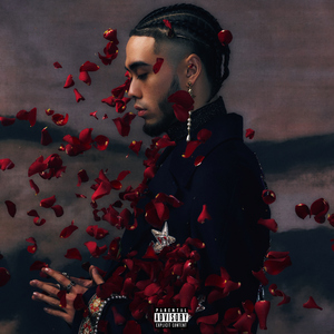 把鸡巴塞入小穴里操起来
